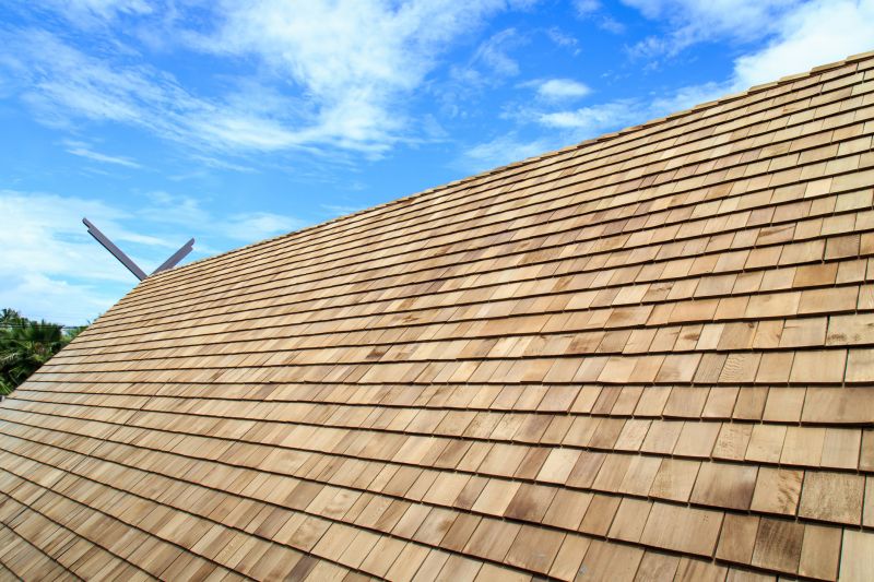 Products For Roof Sheathing Replacements in use