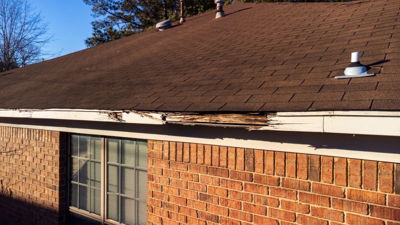 Roof Sheathing Replacement