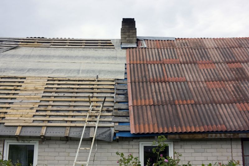Roof Sheathing Replacement