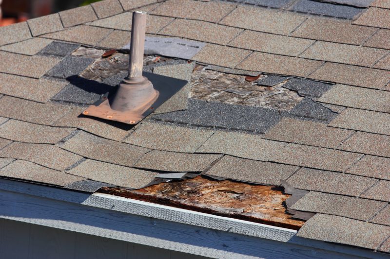 Damaged Roof Sheathing